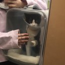 산본중앙동물병원 이미지