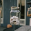 카페블루그린 이미지