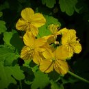 경기 행정사 합동사무소 이미지