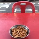 골목과일 | 망우 야장 우림 먹자골목 과일치킨 맛집 &#34;다락방호프&#34; 재방문 후기 +단속반