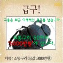 쇠똥구리 50마리5000만원 현상금 이미지