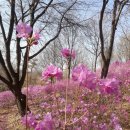 계절의기억 이미지