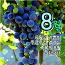 ＜08,04.주일오전예배설교＞ 네 사랑하는 독자 이삭을 바쳐라 이미지