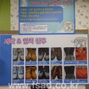 버블크린세탁 이미지