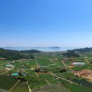 대한다원 이미지