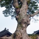 세계유산코스 네이버블로그