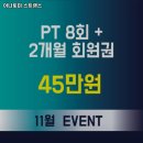 아나토미 스트랭스 네이버블로그