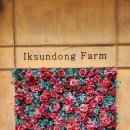 오방목장 이미지