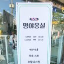 멍야옹실 이미지