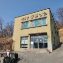 페티앙 애견미용 이미지