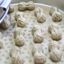 땅콩수산 이미지