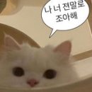 몽뜰 이미지