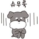 휴안과동물병원 이미지