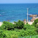 영덕공인중개사사무소 이미지