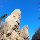 마사생활건강 이미지