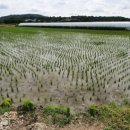 뽑기 이야기 이미지