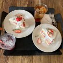 마롱가든 | 2023 케이크 연말결산/내돈내산 딸기케이크 추천