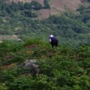 더케이지리산가족호텔 앞 이미지