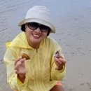 D-22 이미지
