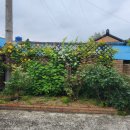 별바다하우스 이미지