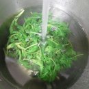 샘터어린이집 이미지