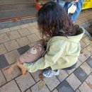 마이산 북부 관광안내소 | 전북 단풍명소 마이산 🍁 11월 첫째주 방문 후기 + 절정 시기 총정리