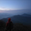 진달래핀풍경
