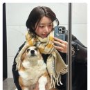 글로벌히트식스