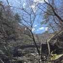 지리산봄날 이미지