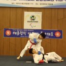 대한장애인스포츠협회 이미지