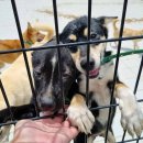 이호농장 이미지