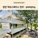 대일관광고등학교 | 에코스페이스 연의 무료생태체험 - 서울 양천 아이와 가볼만한곳