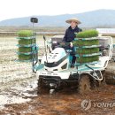 김동일농장 이미지