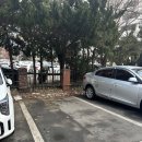 경기도 수원시 장안구 조원로50번길 이미지