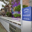 거북이집 이미지