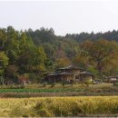 법인옐로우창농 이미지