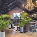 38 | 춘천 대형 베이커리 카페 38마일 내돈내산 솔직 후기