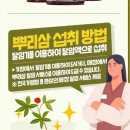 농협홍삼한삼인청주금천점