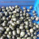 치악농장 이미지