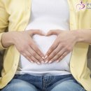 전치 앞(1) 이미지