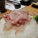 배정철 어도 이미지