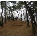 신곡초교 이미지