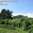 서근마을회관 이미지