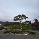 그린 팜파스 | 골프클럽Q 후기 : 밸리코스&amp;팜파스코스 난이도, 그린 상태, 아침식사까지 5가지 솔직리뷰