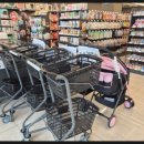 애견#(샾) | 안양 군포 의왕 24시 반려동물 용품샾 폴리파크 방문후기