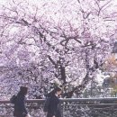 엘리스 - 수원시 팔달구 중부대로7번길 4 | 엘리스