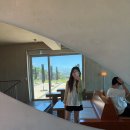 휘닉스명진 | 제주도 4박 5일 여행🏝️