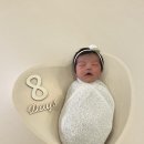 48 싸이클 | 메리튠 신생아스와들 | 속싸개 품에서 나온 48일차의 후기