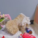 로빈약국 이미지