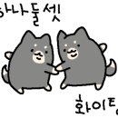 풍요닭집 네이버블로그